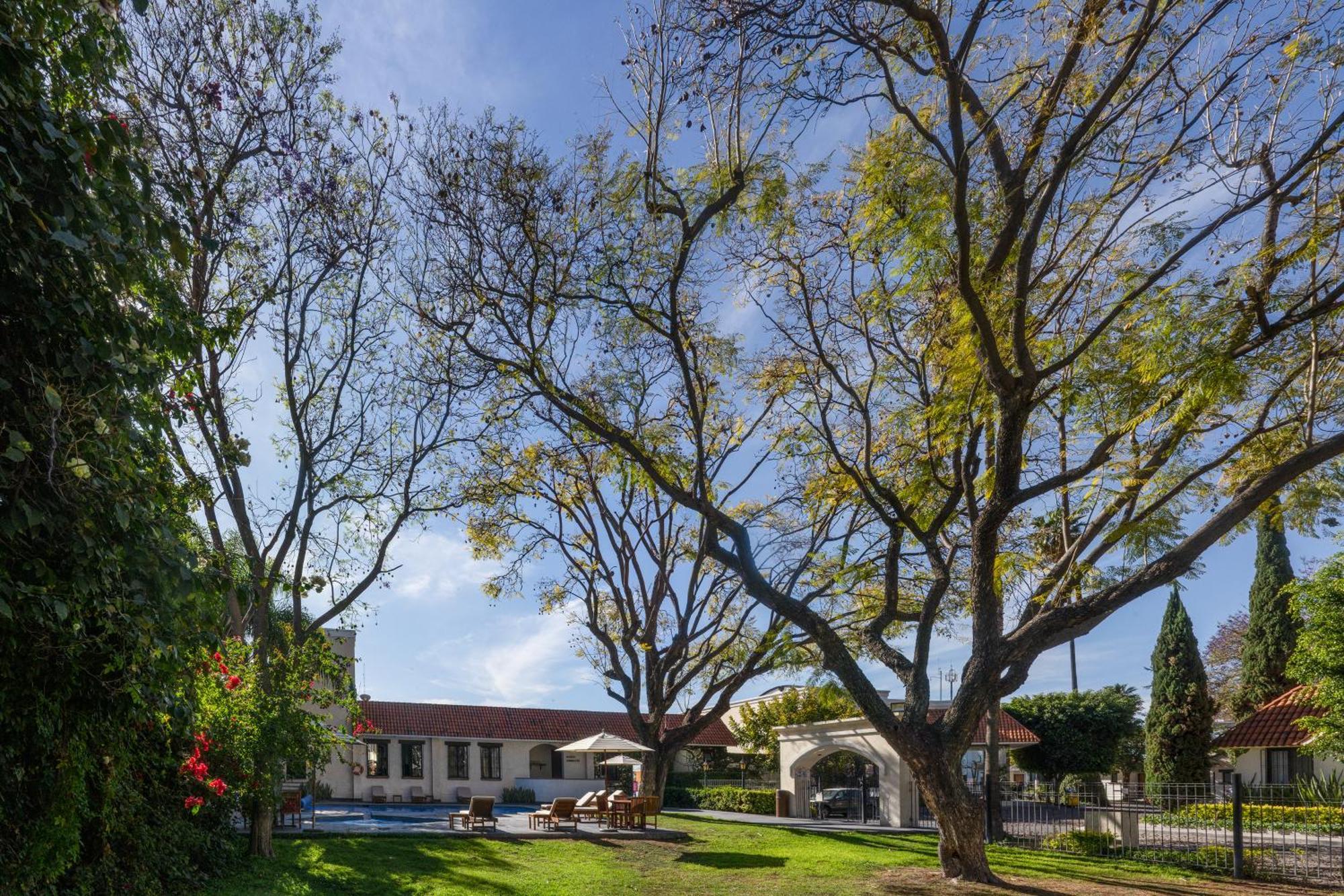 Hotel Flamingo Inn Querétaro Exterior foto